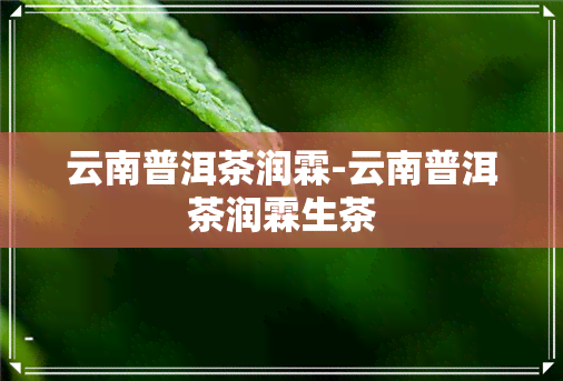 云南普洱茶润霖-云南普洱茶润霖生茶