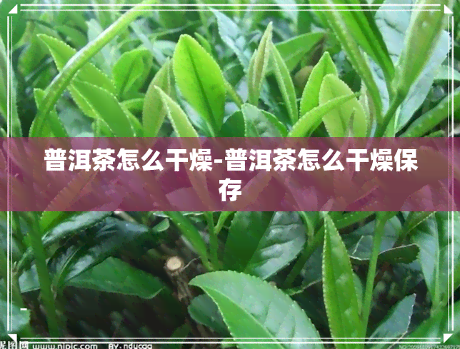 普洱茶怎么干燥-普洱茶怎么干燥保存