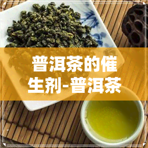 普洱茶的催生剂-普洱茶的催生剂是什么