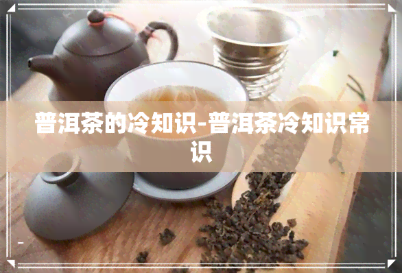 普洱茶的冷知识-普洱茶冷知识常识