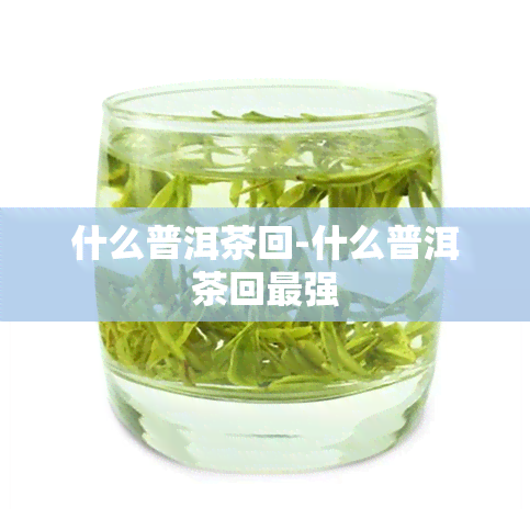 什么普洱茶回-什么普洱茶回最强