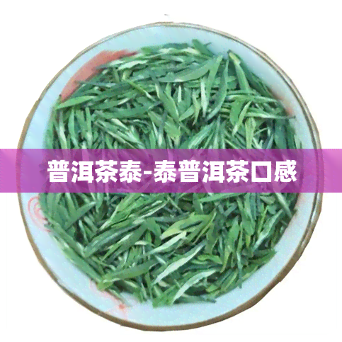 普洱茶泰-泰普洱茶口感