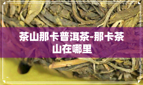 茶山那卡普洱茶-那卡茶山在哪里