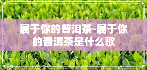 属于你的普洱茶-属于你的普洱茶是什么歌