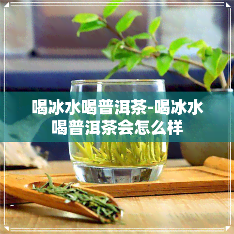 喝冰水喝普洱茶-喝冰水喝普洱茶会怎么样