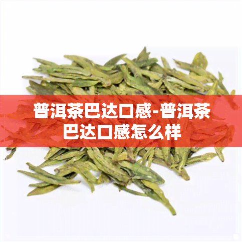 普洱茶巴达口感-普洱茶巴达口感怎么样