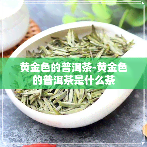 黄金色的普洱茶-黄金色的普洱茶是什么茶