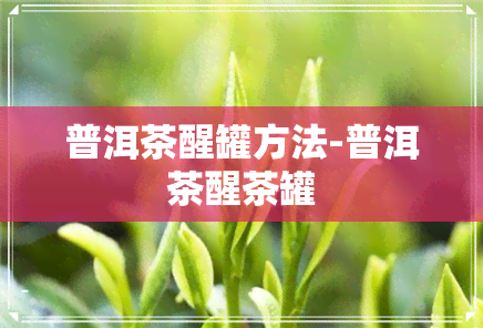 普洱茶醒罐方法-普洱茶醒茶罐