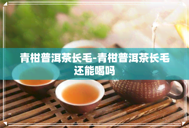 青柑普洱茶长毛-青柑普洱茶长毛还能喝吗