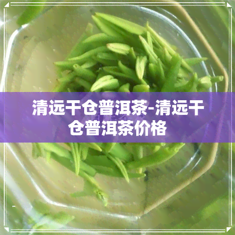 清远干仓普洱茶-清远干仓普洱茶价格