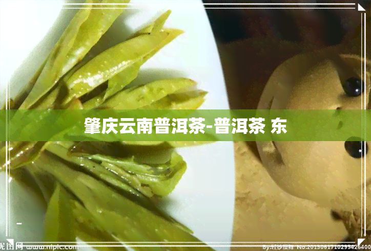 肇庆云南普洱茶-普洱茶 东