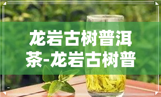 龙岩古树普洱茶-龙岩古树普洱茶价格表