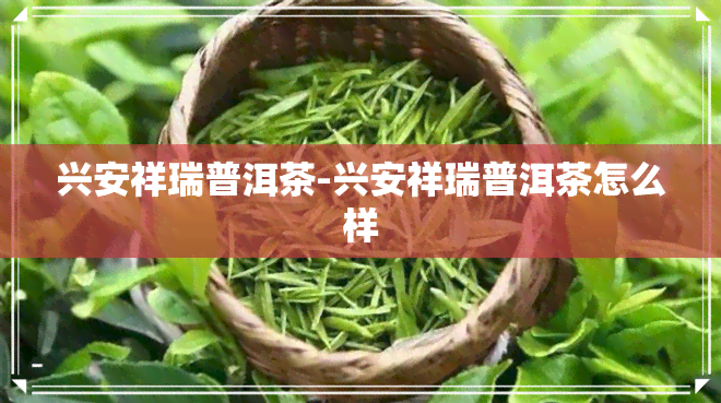 兴安祥瑞普洱茶-兴安祥瑞普洱茶怎么样