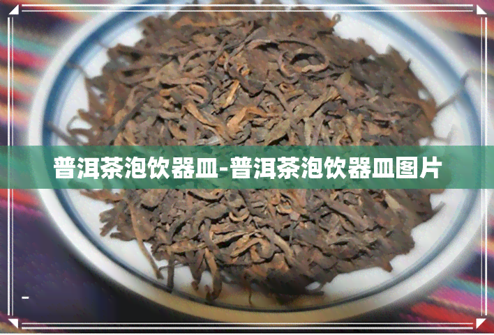 普洱茶泡饮器皿-普洱茶泡饮器皿图片