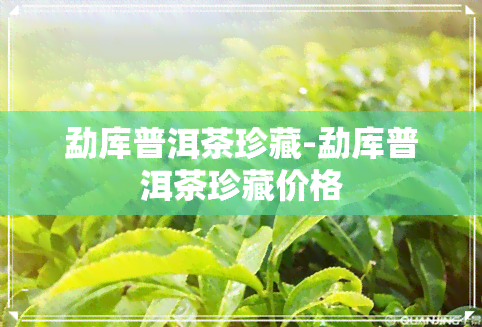 勐库普洱茶珍藏-勐库普洱茶珍藏价格