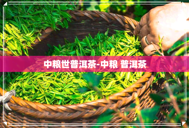 中粮世普洱茶-中粮 普洱茶