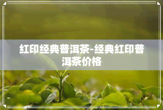 红印经典普洱茶-经典红印普洱茶价格