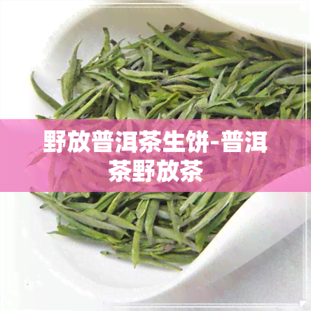 野放普洱茶生饼-普洱茶野放茶