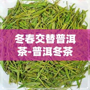 冬春交替普洱茶-普洱冬茶和春茶的区别