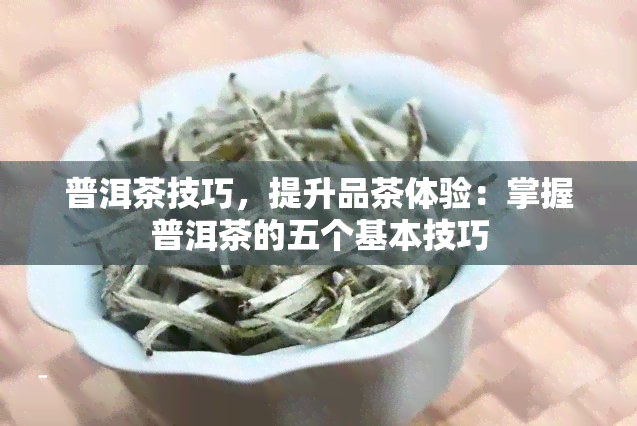 普洱茶技巧，提升品茶体验：掌握普洱茶的五个基本技巧