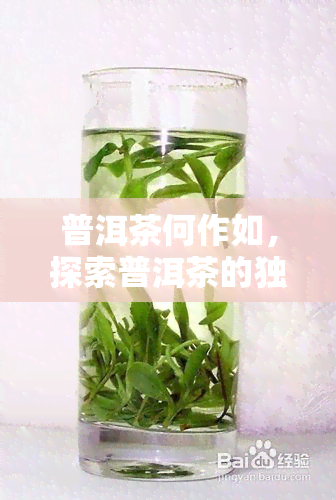 普洱茶何作如，探索普洱茶的独特魅力：如何制作与品尝