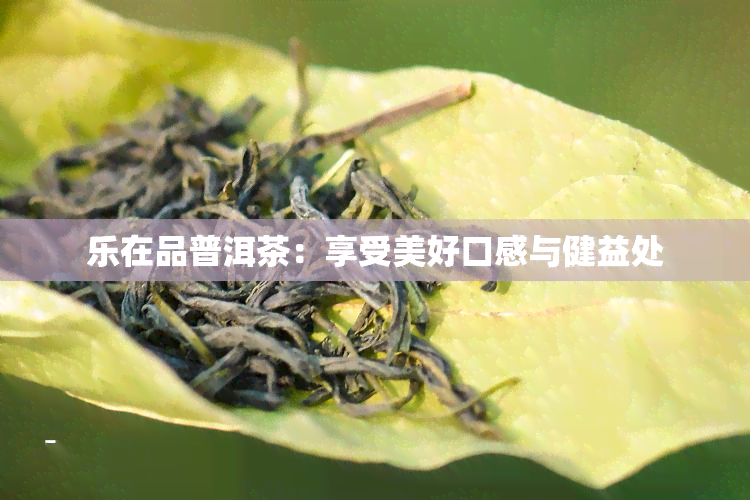 乐在品普洱茶：享受美好口感与健益处