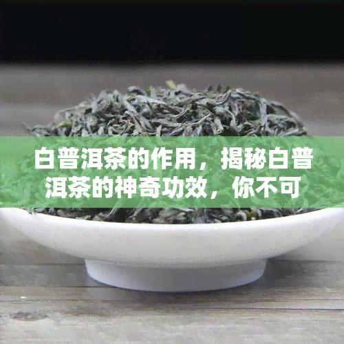 白普洱茶的作用，揭秘白普洱茶的神奇功效，你不可不知的好处！