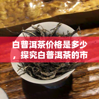 白普洱茶价格是多少，探究白普洱茶的市场价格，了解其价值所在！