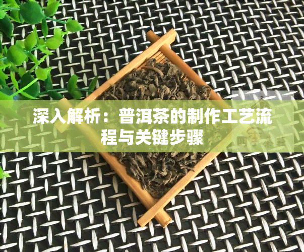 深入解析：普洱茶的制作工艺流程与关键步骤