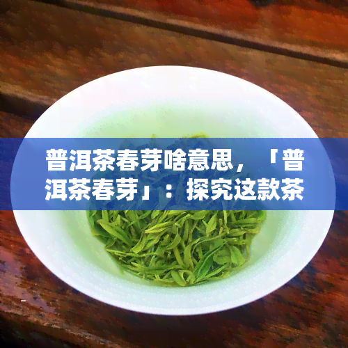 普洱茶春芽啥意思，「普洱茶春芽」：探究这款茶叶的独特魅力