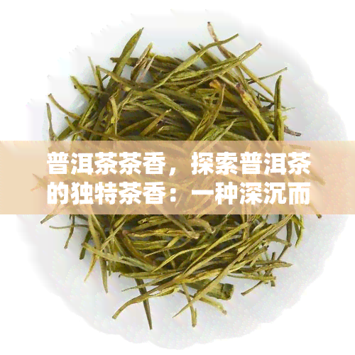 普洱茶茶香，探索普洱茶的独特茶香：一种深沉而持久的味道