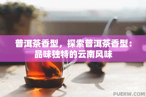 普洱茶香型，探索普洱茶香型：品味独特的云南风味