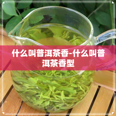 什么叫普洱茶香-什么叫普洱茶香型