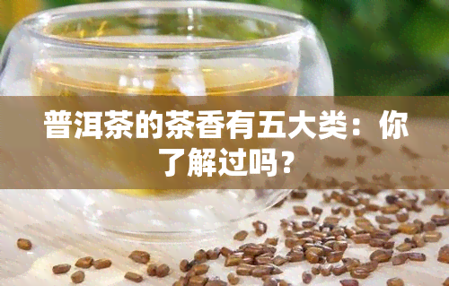 普洱茶的茶香有五大类：你了解过吗？