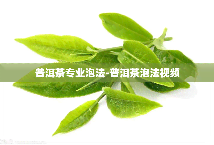 普洱茶专业泡法-普洱茶泡法视频