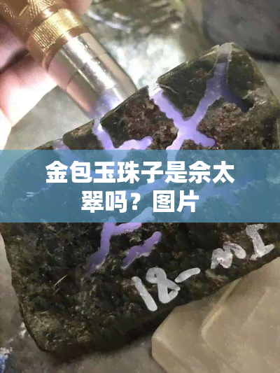 金包玉珠子是佘太翠吗？图片