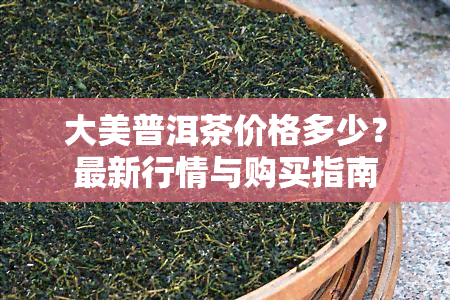 大美普洱茶价格多少？最新行情与购买指南