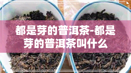 都是芽的普洱茶-都是芽的普洱茶叫什么