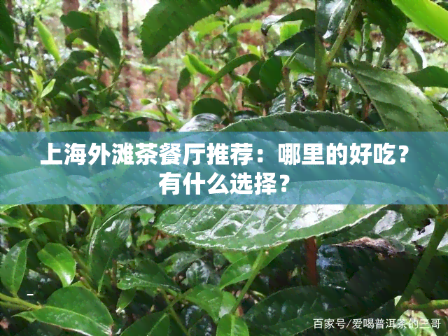 上海外滩茶餐厅推荐：哪里的好吃？有什么选择？