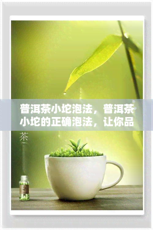 普洱茶小坨泡法，普洱茶小坨的正确泡法，让你品味不一样的口感！