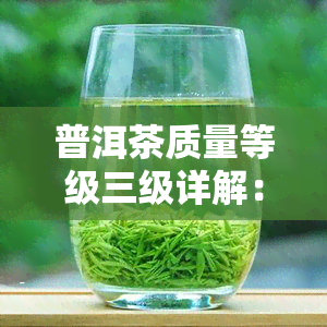 普洱茶质量等级三级详解：与七级比较，有何优劣？