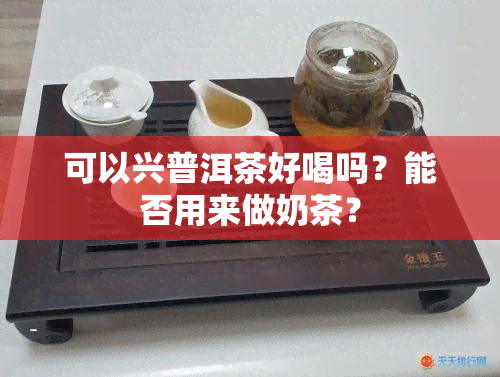 可以兴普洱茶好喝吗？能否用来做奶茶？