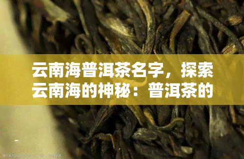 云南海普洱茶名字，探索云南海的神秘：普洱茶的名字背后的故事