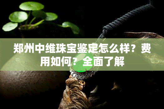 郑州中维珠宝鉴定怎么样？费用如何？全面了解