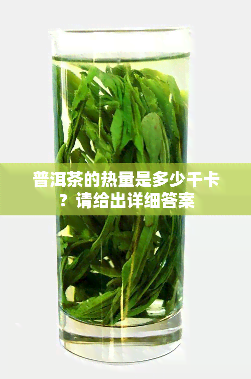 普洱茶的热量是多少千卡？请给出详细答案