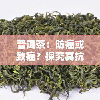 普洱茶：防癌或致癌？探究其抗癌效果