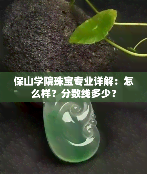 保山学院珠宝专业详解：怎么样？分数线多少？