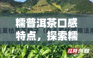 糯普洱茶口感特点，探索糯普洱茶的独特口感特点