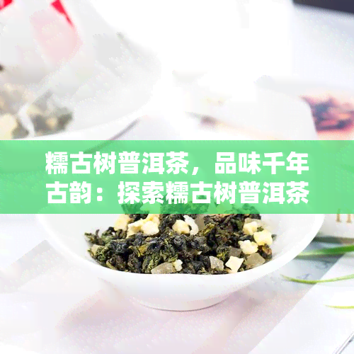 糯古树普洱茶，品味千年古韵：探索糯古树普洱茶的魅力