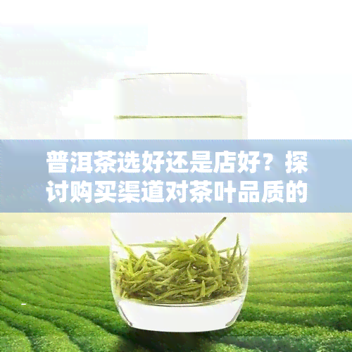 普洱茶选好还是店好？探讨购买渠道对茶叶品质的影响